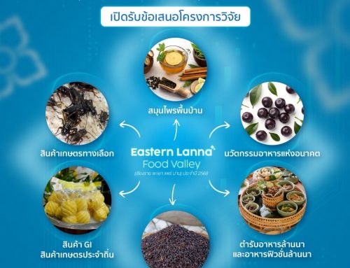 เปิดรับข้อเสนอโครงการวิจัย Eastern Lanna Food Valley (เชียงราย พะเยา แพร่ น่าน) ประจำปี 2568