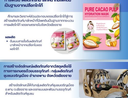 SDGs 8: Decent Work and Economic Growth