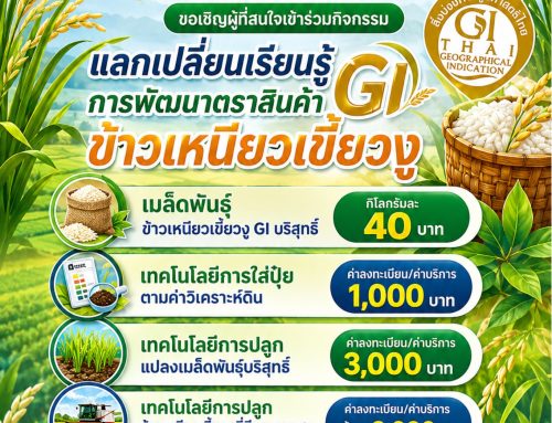 ขอเชิญผู้ที่สนใจเข้าร่วมกิจกรรมแลกเปลี่ยนเรียนรู้การพัฒนาตราสินค้า GI ข้าวเหนียวเขี้ยวงู