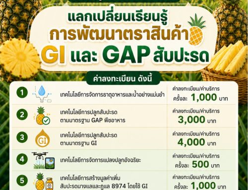 ขอเชิญผู้ที่สนใจเข้าร่วมกิจกรรม“แลกเปลี่ยนเรียนรู้การพัฒนาตราสินค้า GI และ GAP สับปะรด”